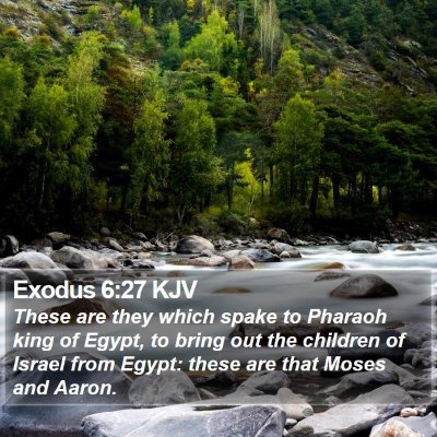 Exodus 6:27 KJV Bible Verse Image