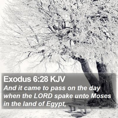 Exodus 6:28 KJV Bible Verse Image