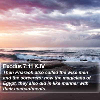Exodus 7:11 KJV Bible Verse Image