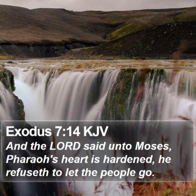 Exodus 7:14 KJV Bible Verse Image