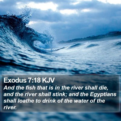 Exodus 7:18 KJV Bible Verse Image
