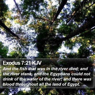 Exodus 7:21 KJV Bible Verse Image