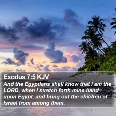 Exodus 7:5 KJV Bible Verse Image