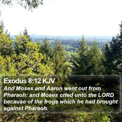Exodus 8:12 KJV Bible Verse Image