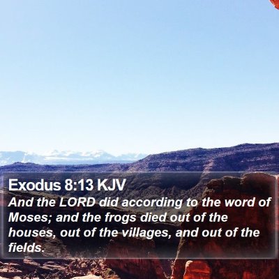 Exodus 8:13 KJV Bible Verse Image