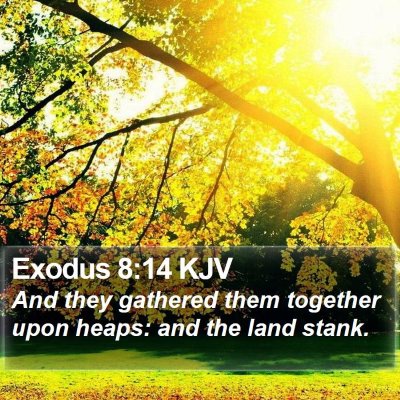 Exodus 8:14 KJV Bible Verse Image