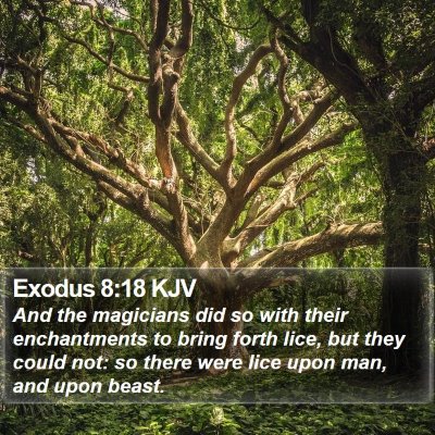 Exodus 8:18 KJV Bible Verse Image