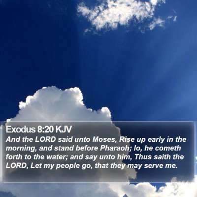 Exodus 8:20 KJV Bible Verse Image