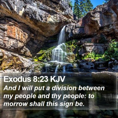 Exodus 8:23 KJV Bible Verse Image