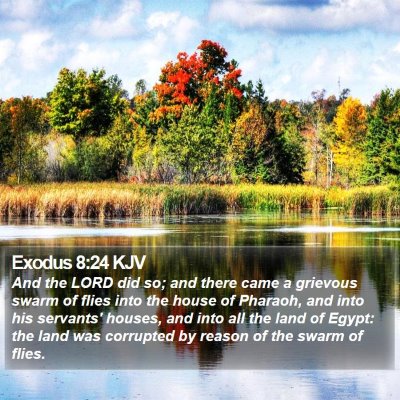 Exodus 8:24 KJV Bible Verse Image