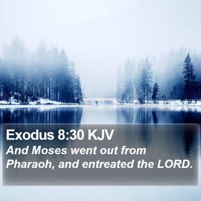 Exodus 8:30 KJV Bible Verse Image
