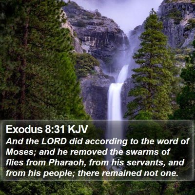 Exodus 8:31 KJV Bible Verse Image