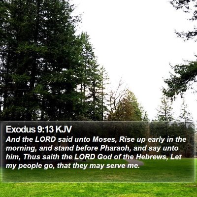 Exodus 9:13 KJV Bible Verse Image