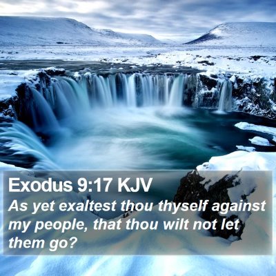 Exodus 9:17 KJV Bible Verse Image