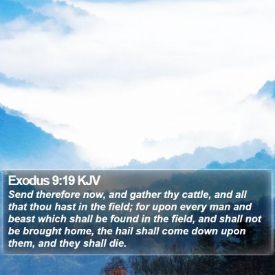 Exodus 9:19 KJV Bible Verse Image