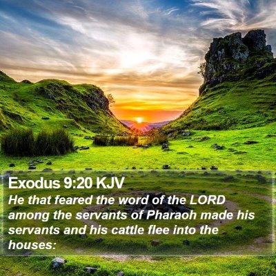 Exodus 9:20 KJV Bible Verse Image