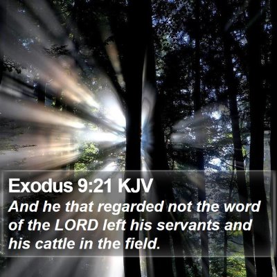 Exodus 9:21 KJV Bible Verse Image