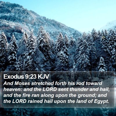 Exodus 9:23 KJV Bible Verse Image