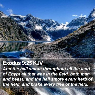 Exodus 9:25 KJV Bible Verse Image