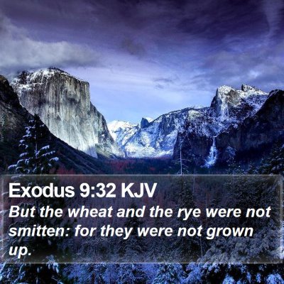 Exodus 9:32 KJV Bible Verse Image