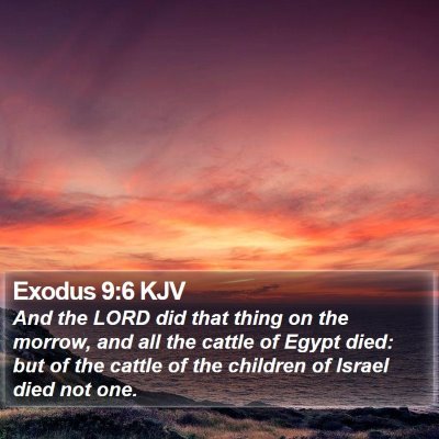 Exodus 9:6 KJV Bible Verse Image