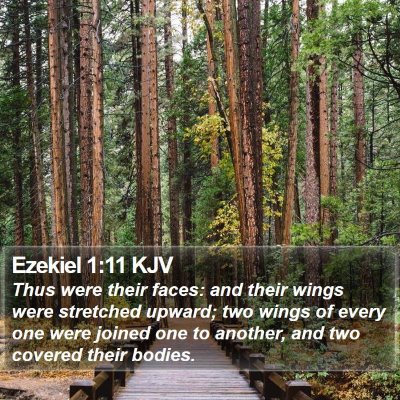 Ezekiel 1:11 KJV Bible Verse Image