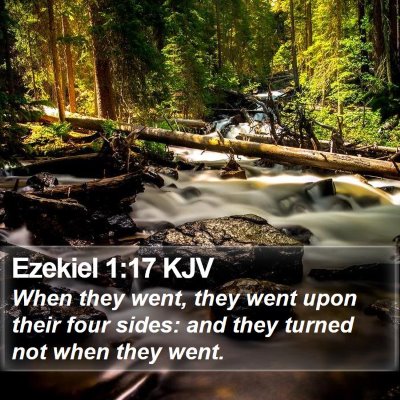 Ezekiel 1:17 KJV Bible Verse Image