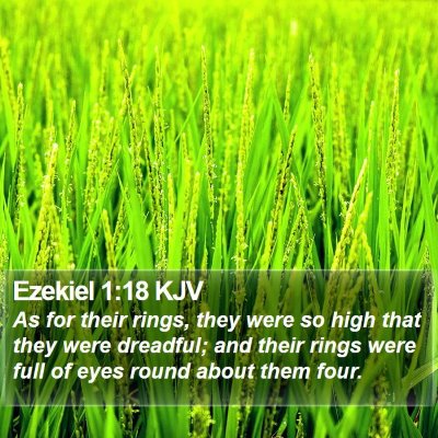 Ezekiel 1:18 KJV Bible Verse Image