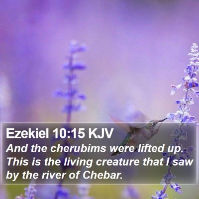 Ezekiel 10:15 KJV Bible Verse Image