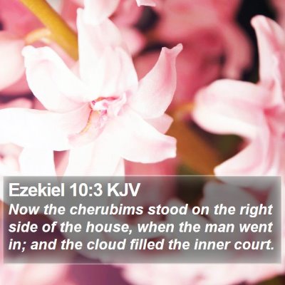 Ezekiel 10:3 KJV Bible Verse Image