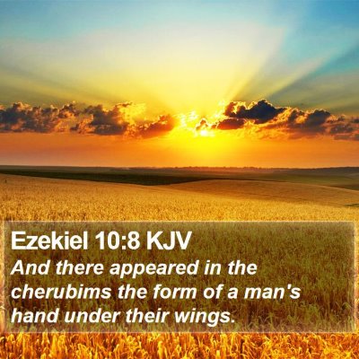 Ezekiel 10:8 KJV Bible Verse Image