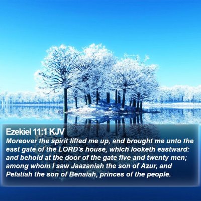 Ezekiel 11:1 KJV Bible Verse Image