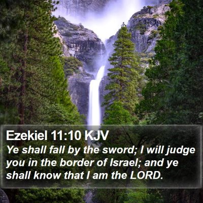 Ezekiel 11:10 KJV Bible Verse Image