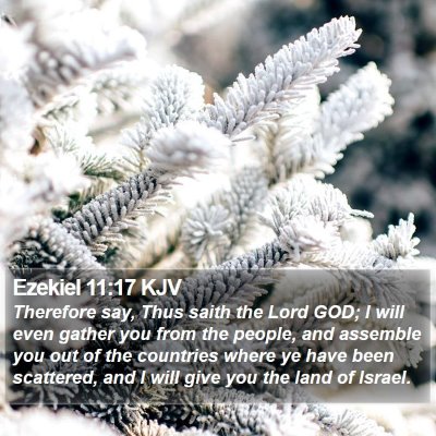 Ezekiel 11:17 KJV Bible Verse Image