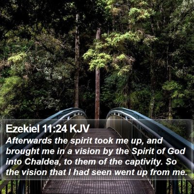 Ezekiel 11:24 KJV Bible Verse Image