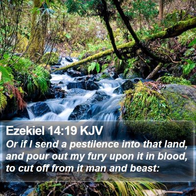 Ezekiel 14:19 KJV Bible Verse Image