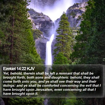 Ezekiel 14:22 KJV Bible Verse Image