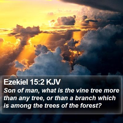 Ezekiel 15:2 KJV Bible Verse Image