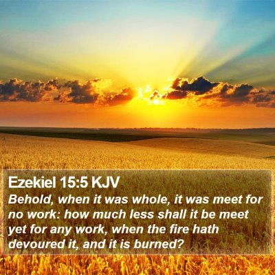 Ezekiel 15:5 KJV Bible Verse Image