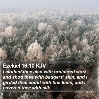 Ezekiel 16:10 KJV Bible Verse Image