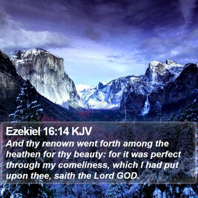 Ezekiel 16:14 KJV Bible Verse Image