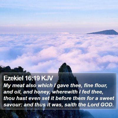 Ezekiel 16:19 KJV Bible Verse Image