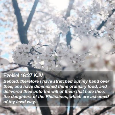 Ezekiel 16:27 KJV Bible Verse Image