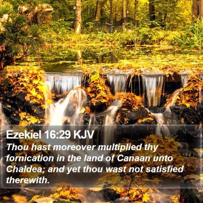 Ezekiel 16:29 KJV Bible Verse Image