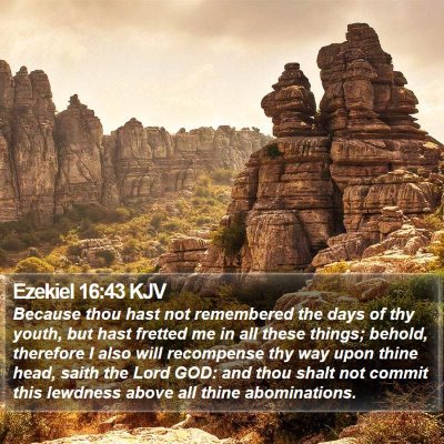 Ezekiel 16:43 KJV Bible Verse Image