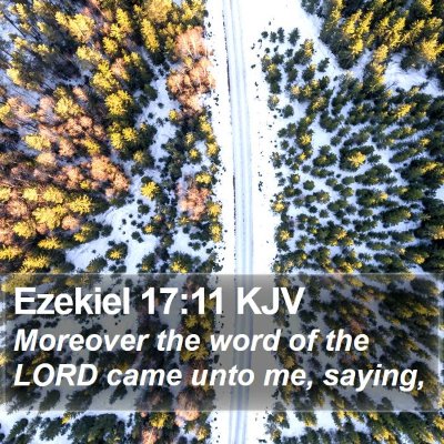 Ezekiel 17:11 KJV Bible Verse Image