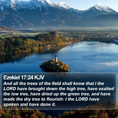 Ezekiel 17:24 KJV Bible Verse Image