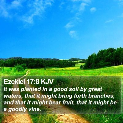 Ezekiel 17:8 KJV Bible Verse Image