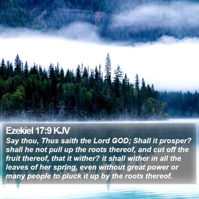 Ezekiel 17:9 KJV Bible Verse Image