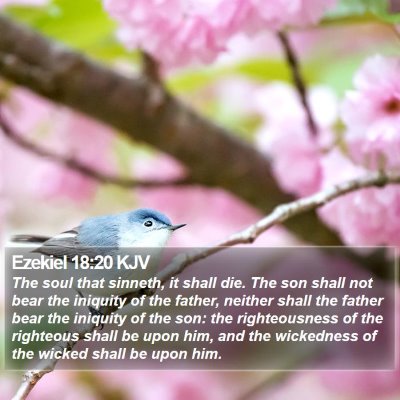 Ezekiel 18:20 KJV Bible Verse Image